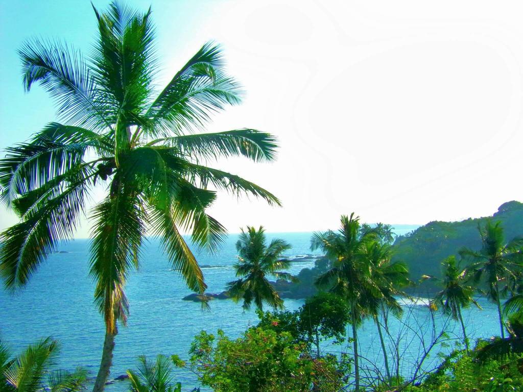Amour Surf Tangalle Ngoại thất bức ảnh