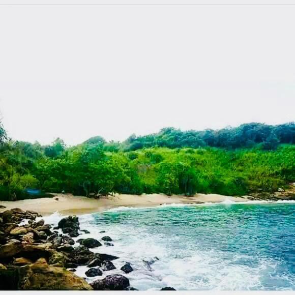 Amour Surf Tangalle Ngoại thất bức ảnh